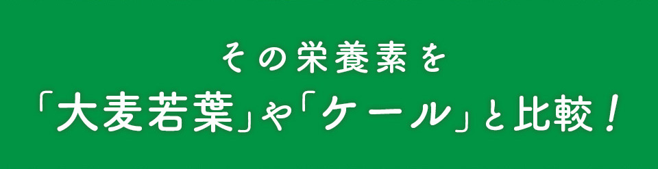 その栄養素を大葉やケールと比較