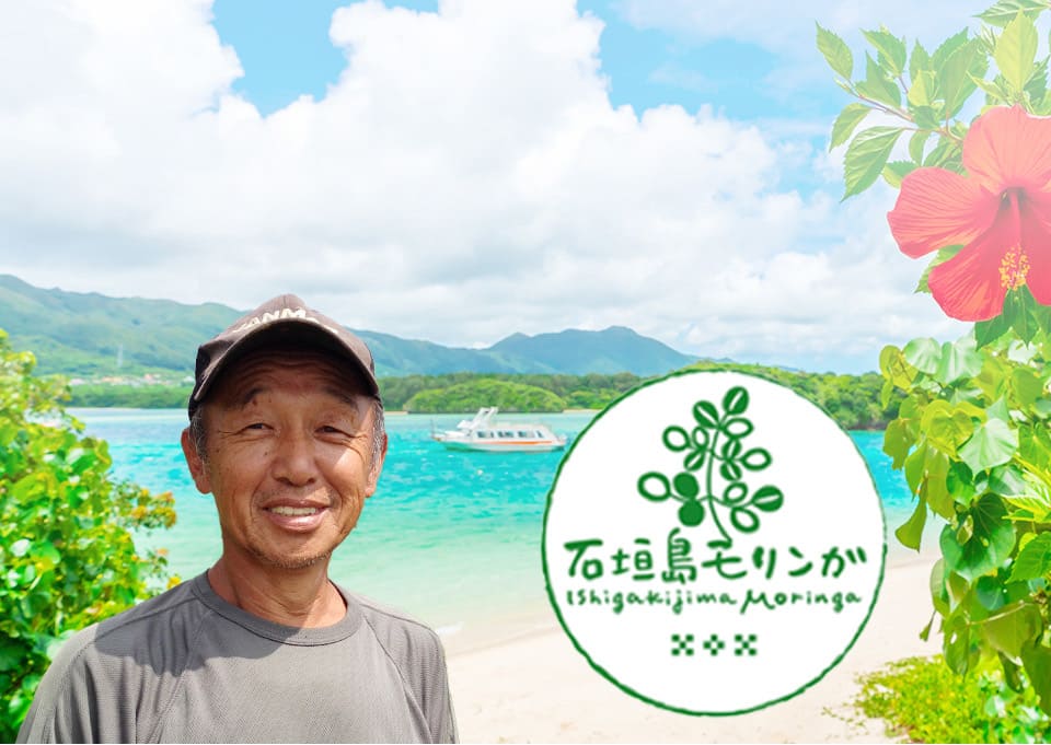 石垣島モリンガ組合も推薦しています!