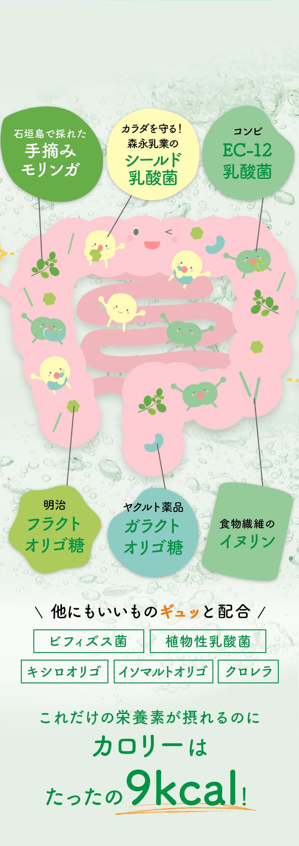 いいものギュッと配合、これだけの栄養が取れるのにカロリーはたったの9kcal!